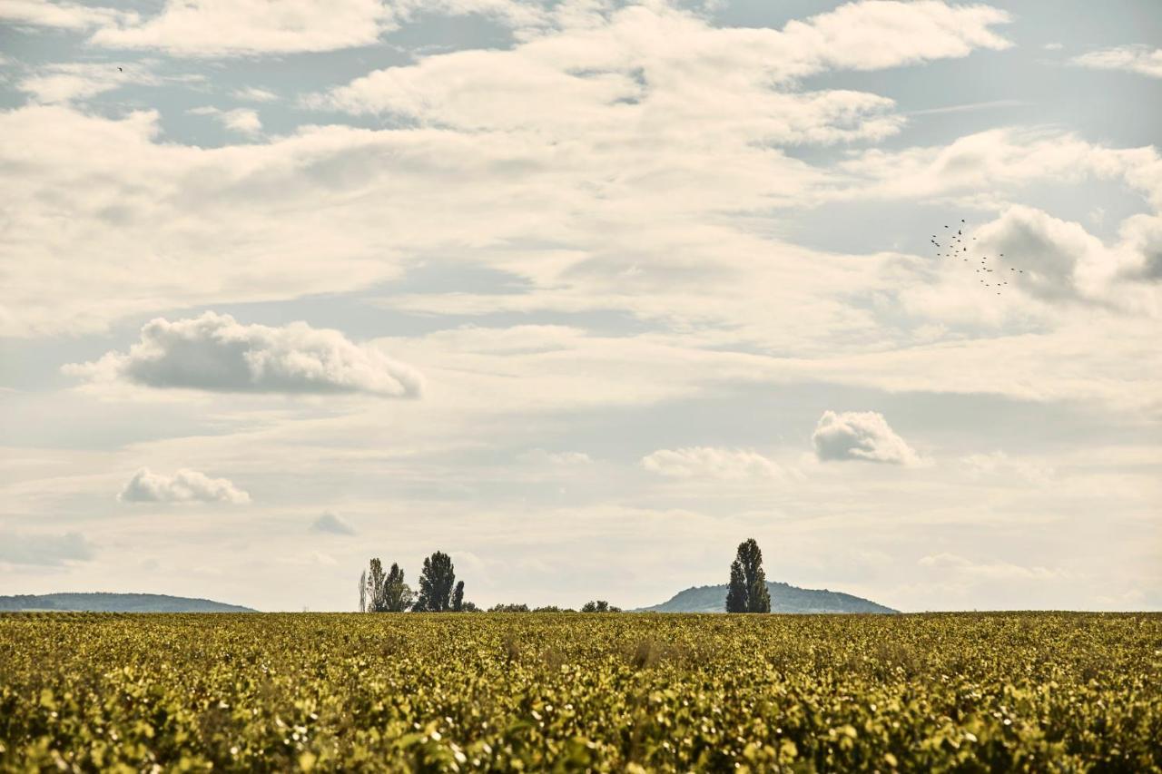 Como Le Montrachet Puligny-Montrachet Exterior foto